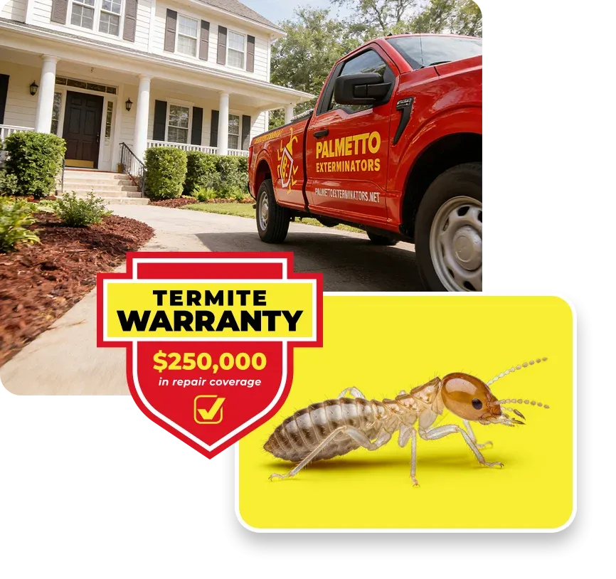 termite warranty badge